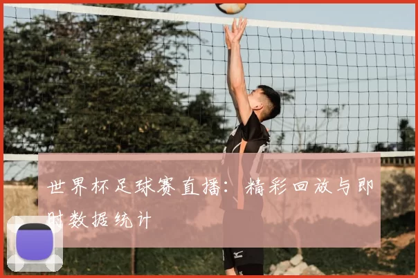 世界杯足球赛直播：精彩回放与即时数据统计