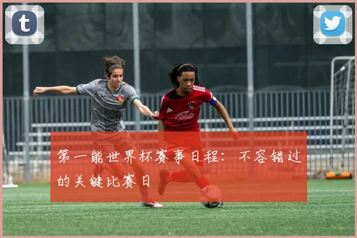 第一能世界杯赛事日程：不容错过的关键比赛日