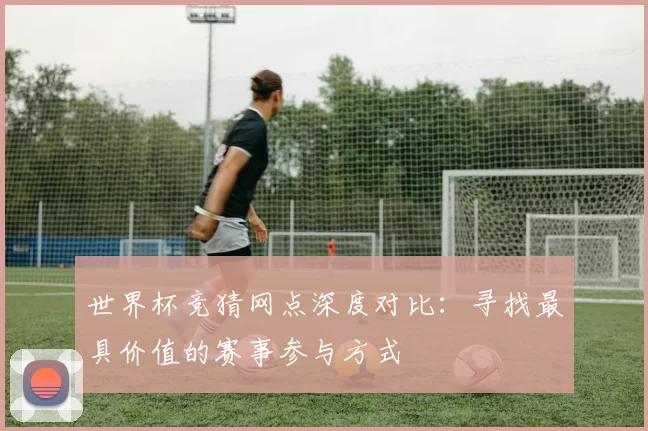 世界杯竞猜网点深度对比:寻找最具价值的赛事参与方式