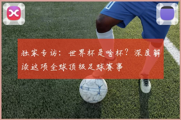 独家专访:世界杯是啥杯?深度解读这项全球顶级足球赛事