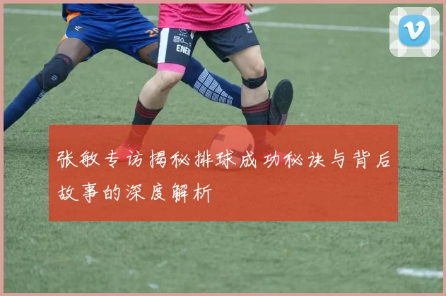 张敏专访揭秘排球成功秘诀与背后故事的深度解析