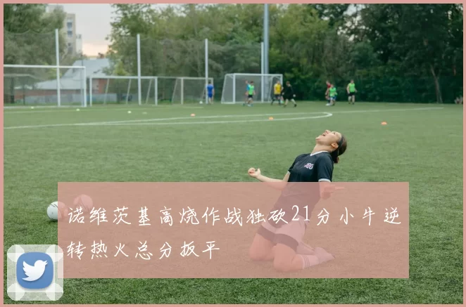 诺维茨基高烧作战独砍21分小牛逆转热火总分扳平