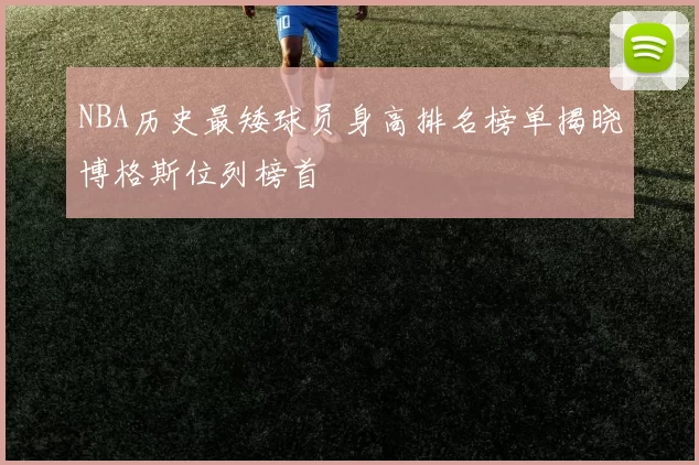 NBA历史最矮球员身高排名榜单揭晓博格斯位列榜首