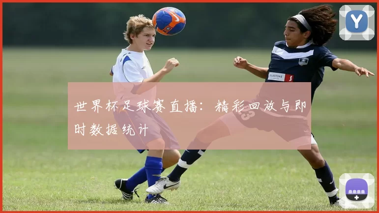 世界杯足球赛直播：精彩回放与即时数据统计