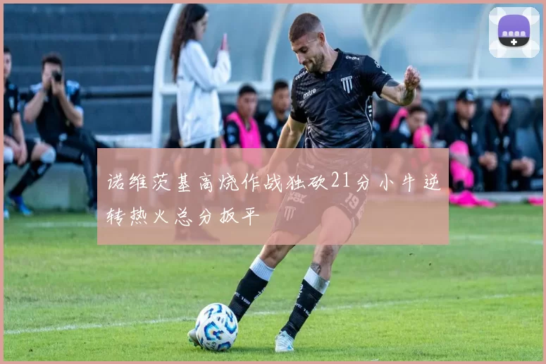 诺维茨基高烧作战独砍21分小牛逆转热火总分扳平